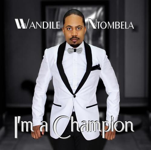 Artist Profile Wandile Ntombela Pictures